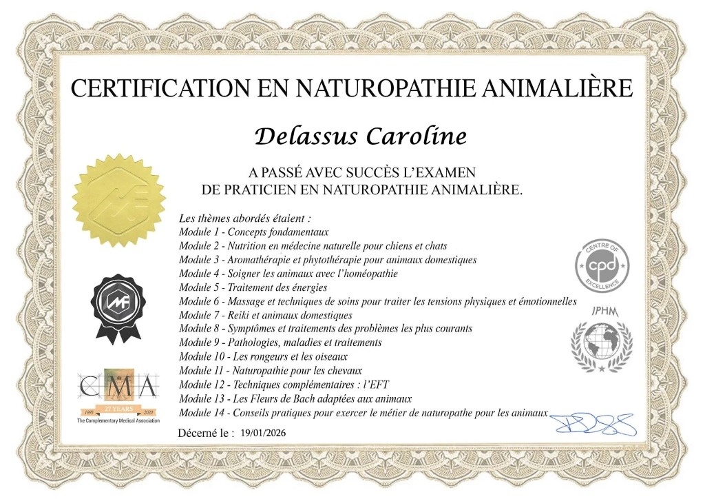 photo diplome Caroline delassus