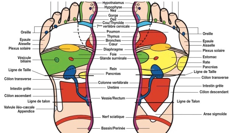 photo activite Sandrine Poisson