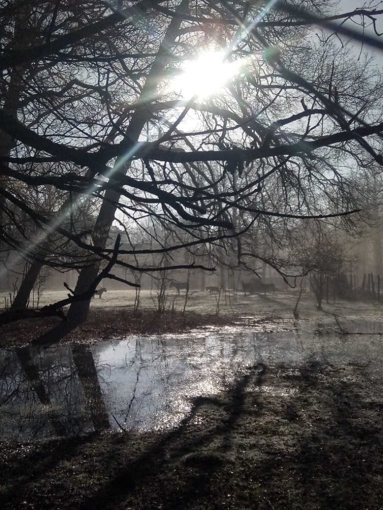 photo cabinet Christelle Antoine