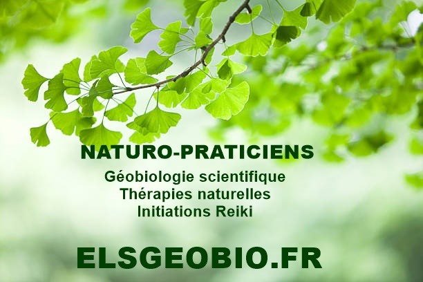 photo cabinet Véronique et François Léval