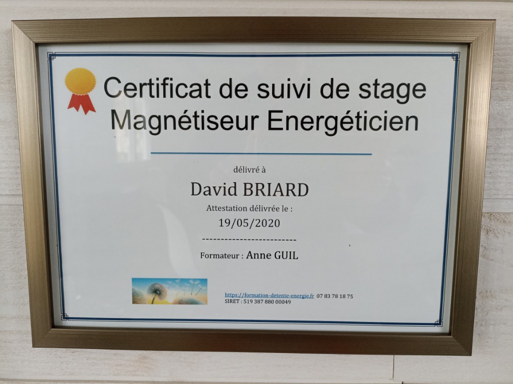 photo diplome David BRIARD