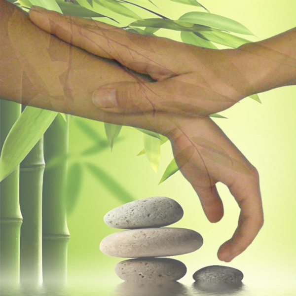 Céline BIGARD TOULON