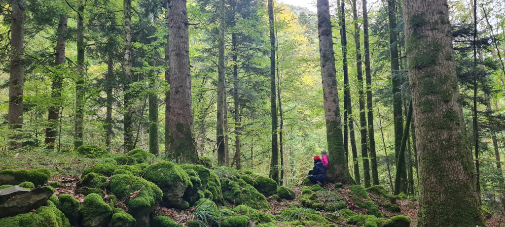 photo activite Juliette Touron