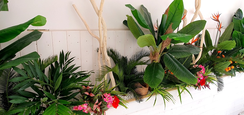 photo cabinet Caring In-Spire