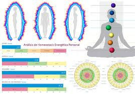 photo activite Linda Crivelli