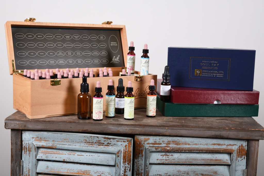 photo activite Sophie Chantraine