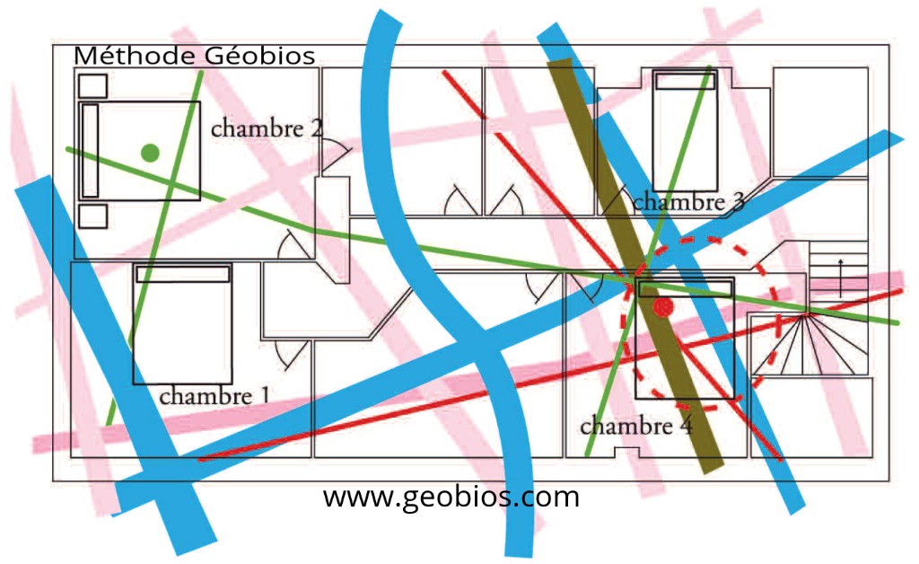 photo activite Aurélie Lecomte 