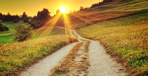 photo diplome Sylvain CHATZ - ENERCOBAT