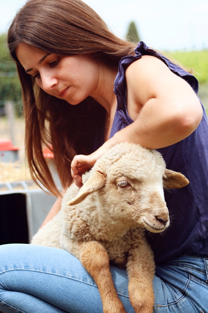 photo activite Lisa Soler - Shiatsu et Communication Animale