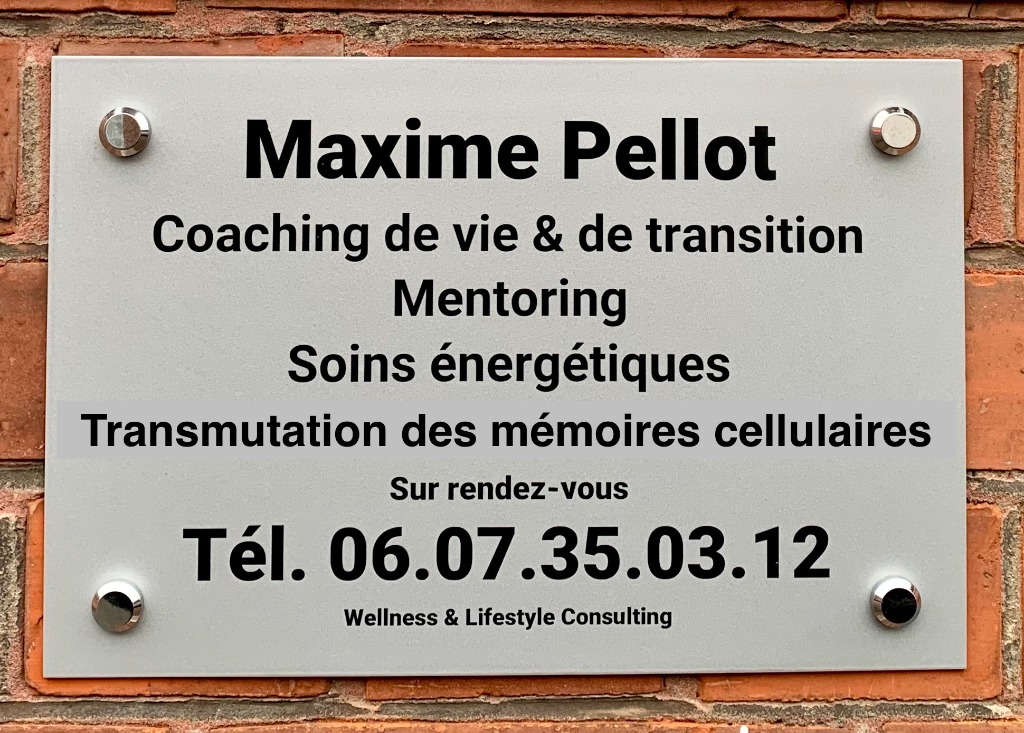 photo cabinet Maxime Pellot