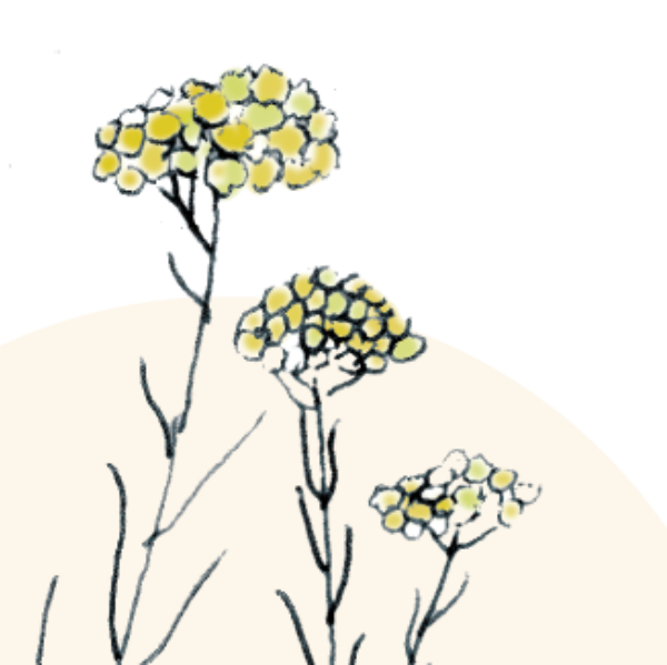 Marie Lematelot Naturopathe