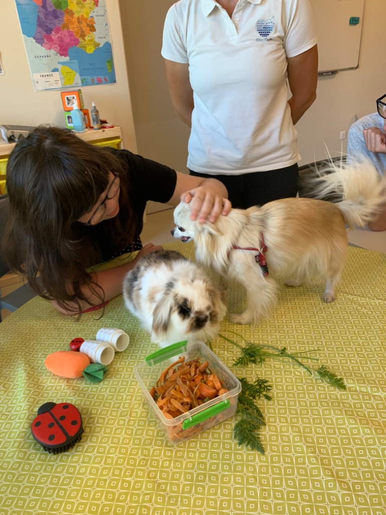 photo activite Les P’tits Loups 67 - Médiation par l’Animal