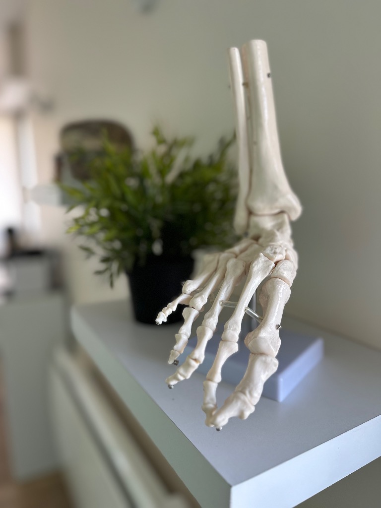 photo activite Marie Cordier