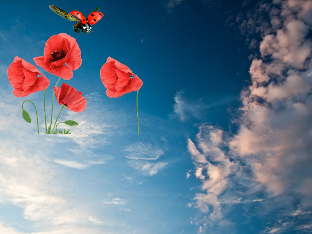 photo activite GUIBIER Sabine