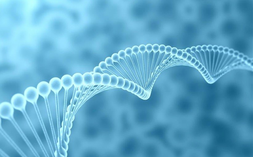 photo activite ThetaTherapie