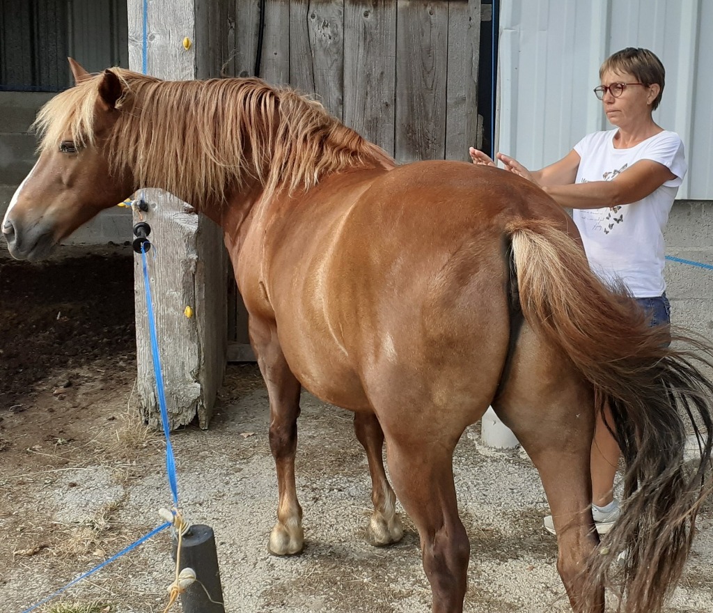 photo activite Yanne Benoist