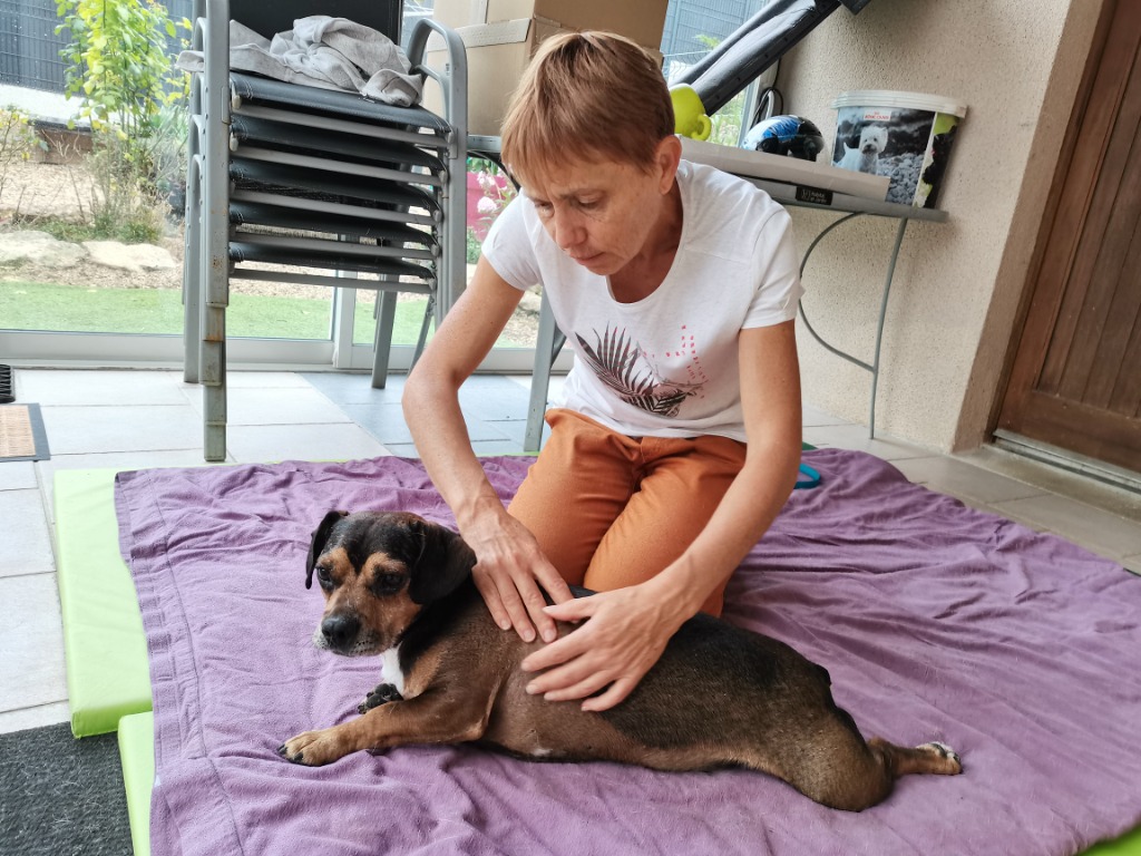 photo cabinet Yanne Benoist