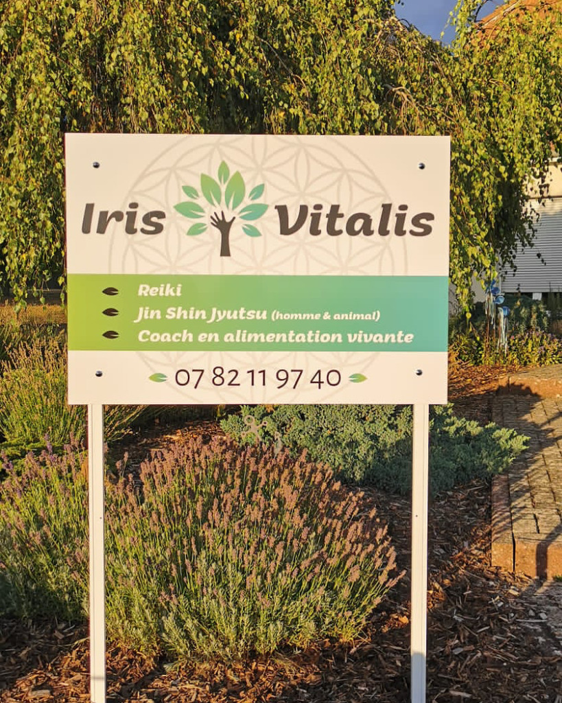 photo cabinet Iris Vitalis