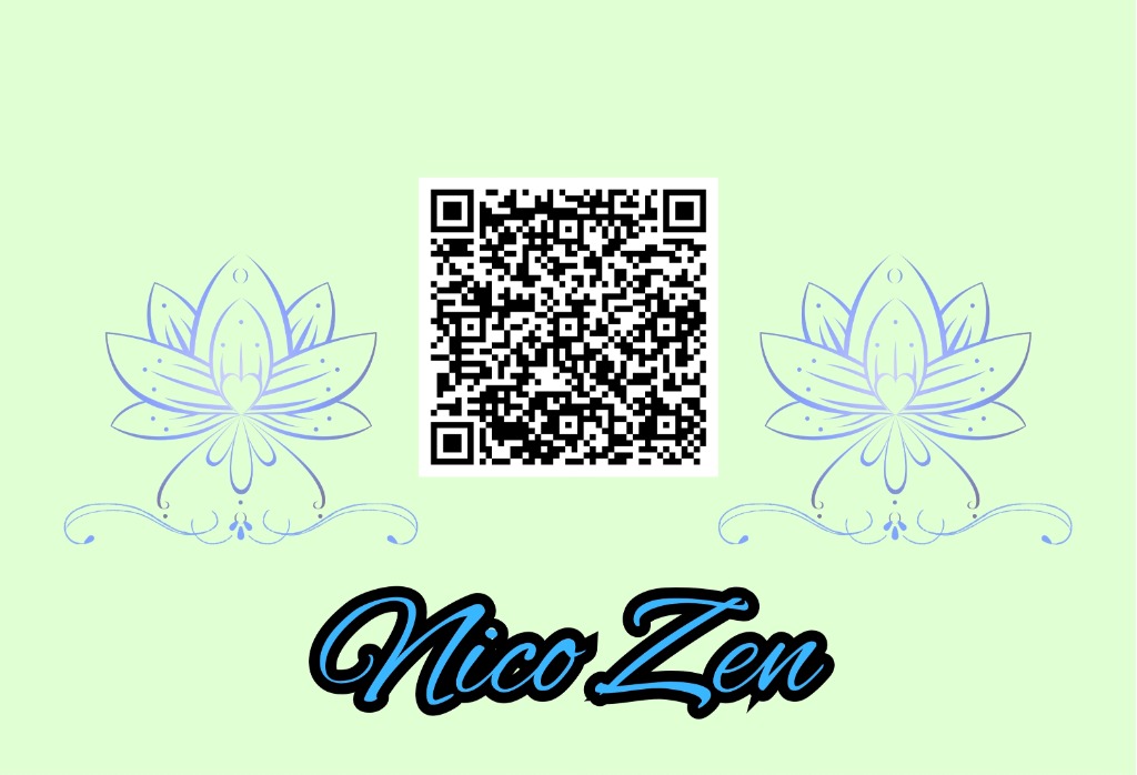 photo activite Nicolas Mokhtari