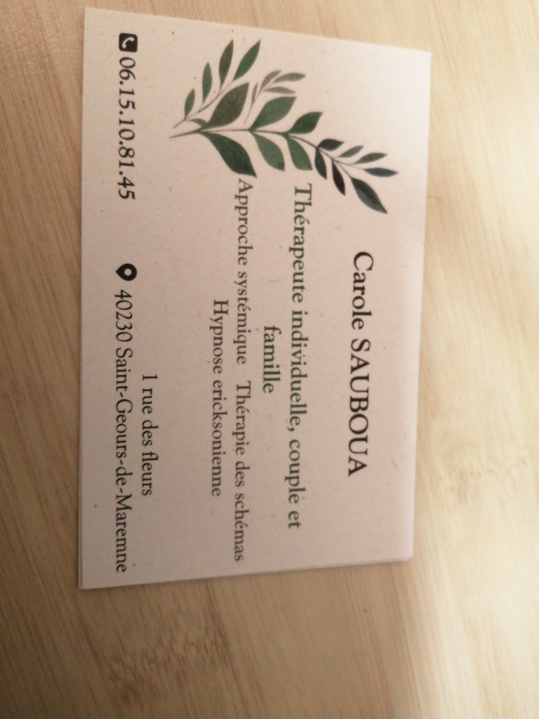 photo activite Carole SAUBOUA 