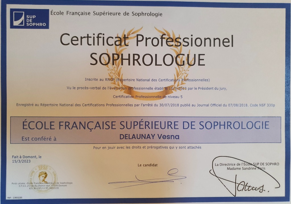 photo diplome Delaunay Vesna