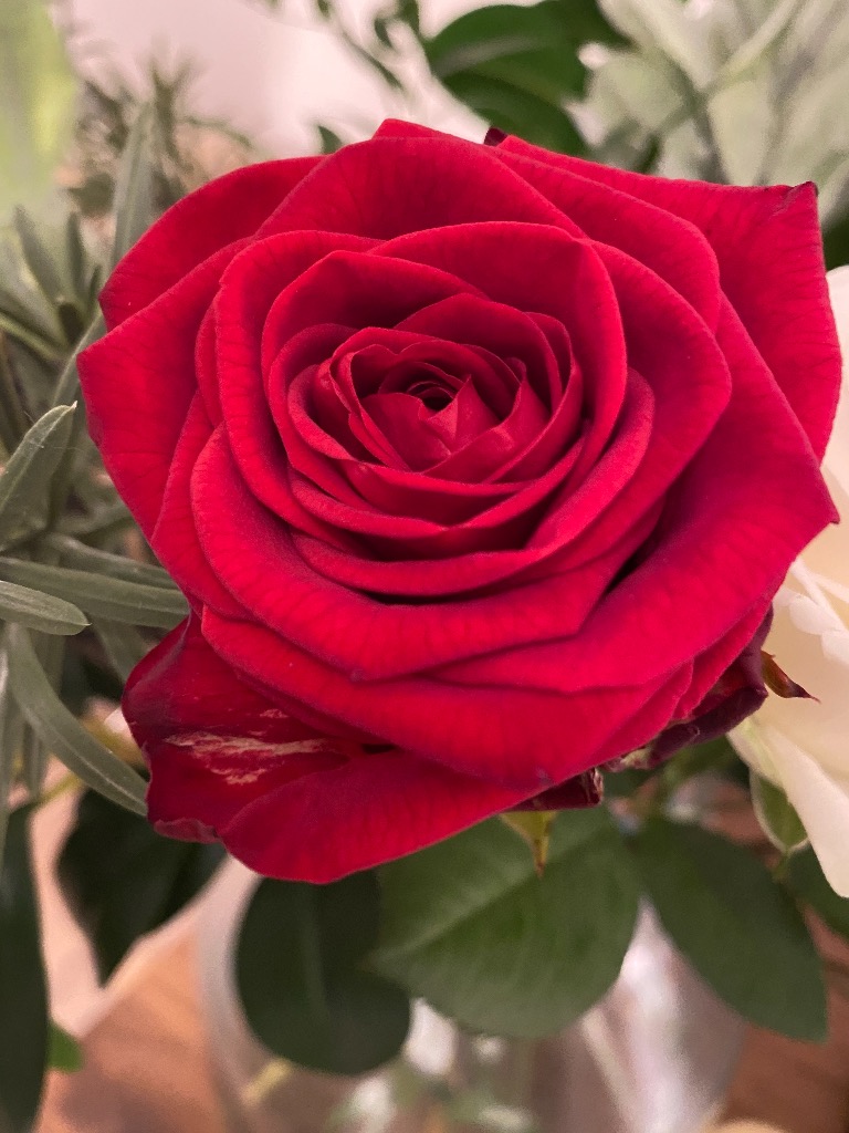 photo activite Olivia Costa