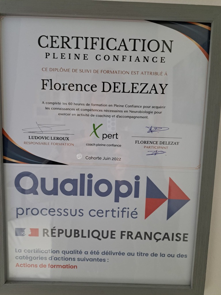 photo diplome AYZZURIA