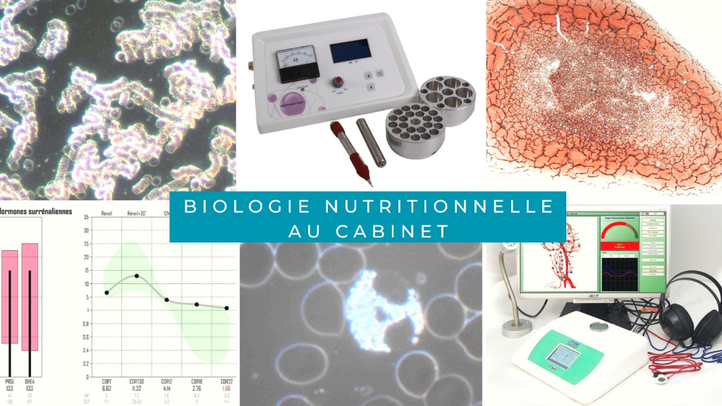 photo diplome Andrea Indulsky