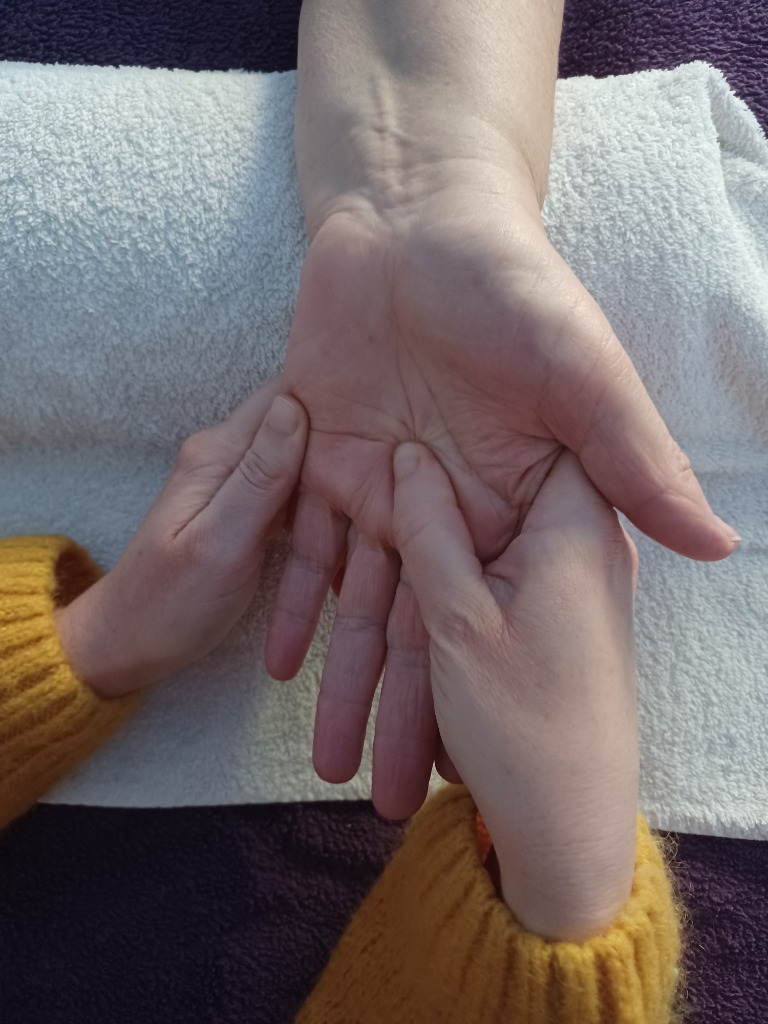 photo activite Violette 