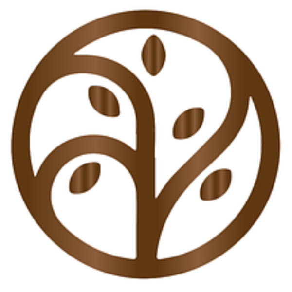 David Camp | Géobiologue Radiesthésiste