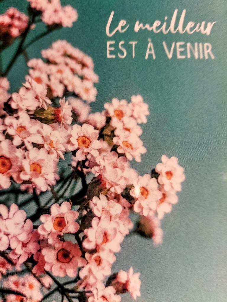 photo activite Nathalie Martin-Polese