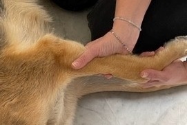 photo activite Karine Lebocey