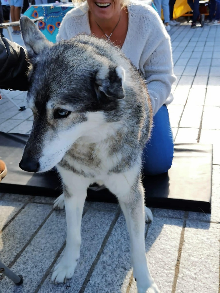 photo cabinet Karine Lebocey