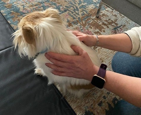 photo seance Karine Lebocey