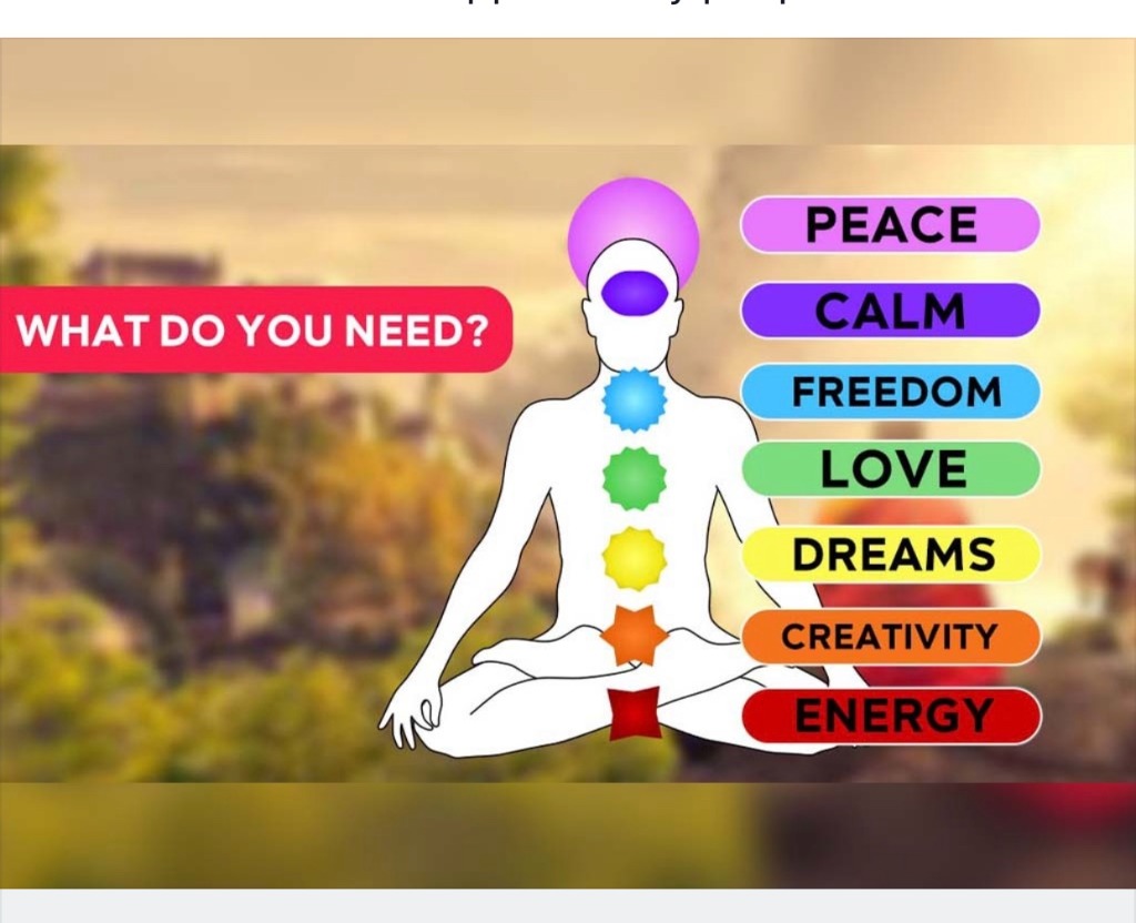 photo activite Marianna Stornaiuolo 