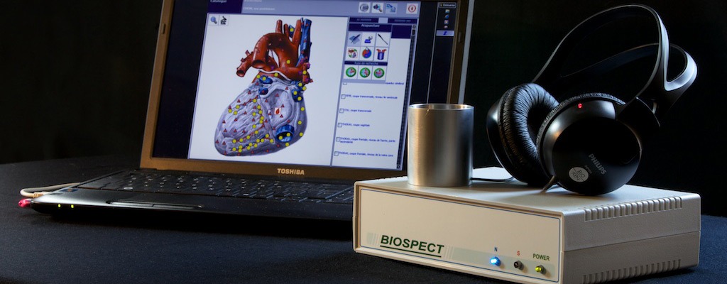 photo activite Papillat Maelle