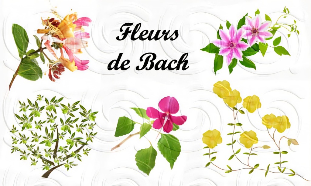 photo portrait MON BOUDOIR AROMA ET ELIXIRS