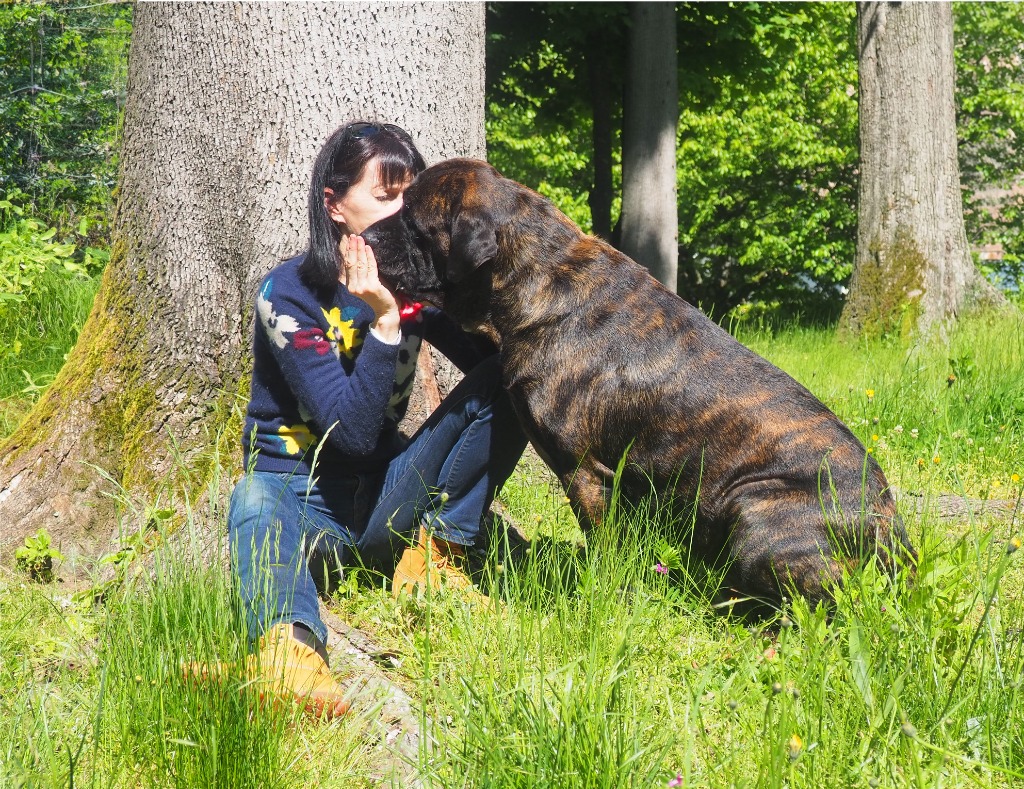 photo activite Janima - Soins humains et animaux