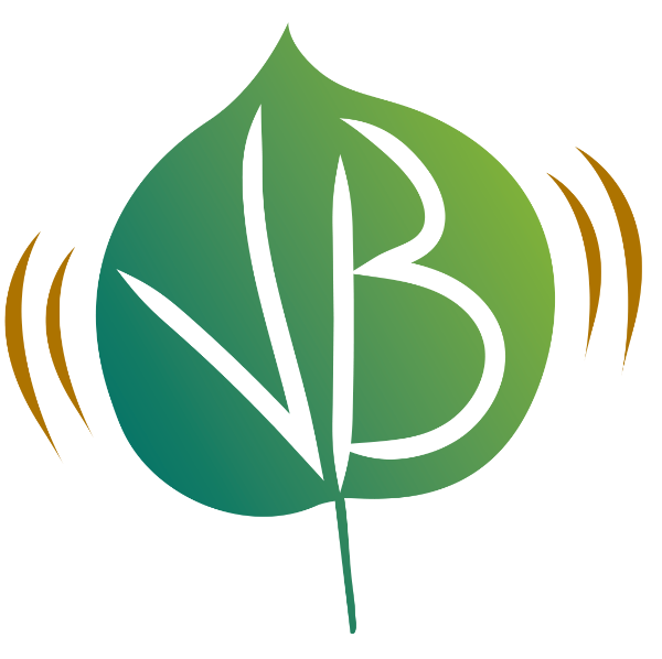 Véronique Baudot - Vital Boost