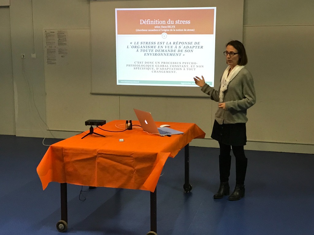 photo activite Frédérique QUESSADA