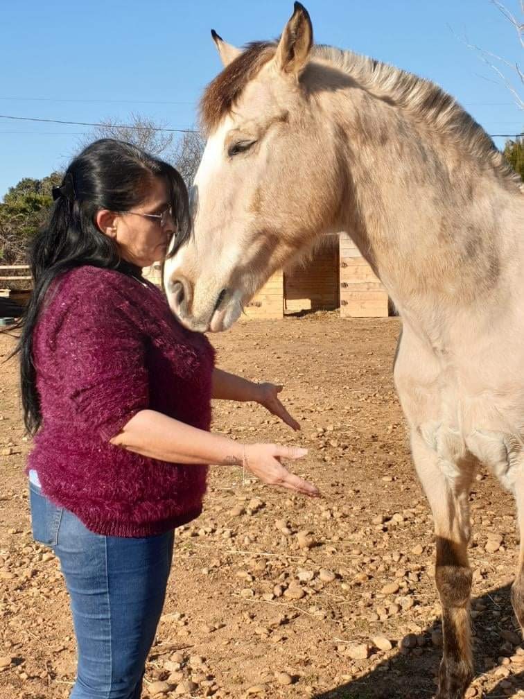 photo seance Humanimalia-Reiki 