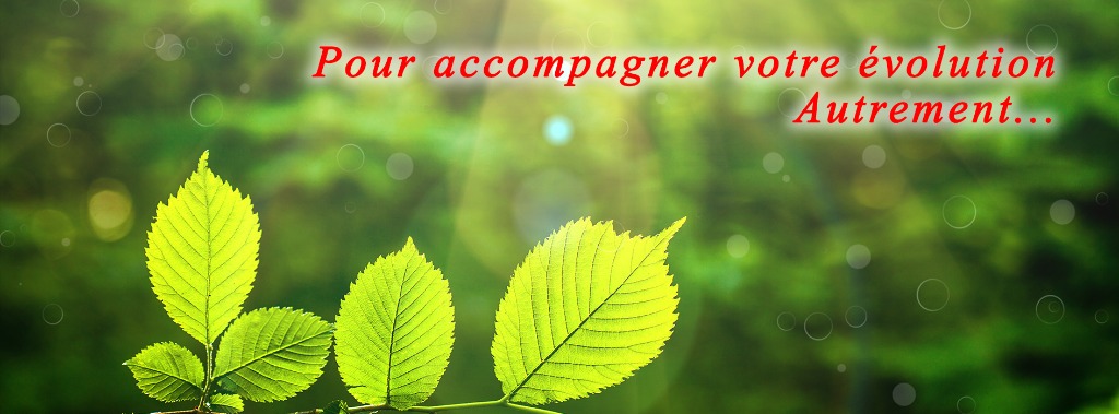 photo cabinet Annie DESVAGES