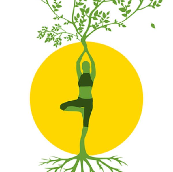 Carine Harmonisation