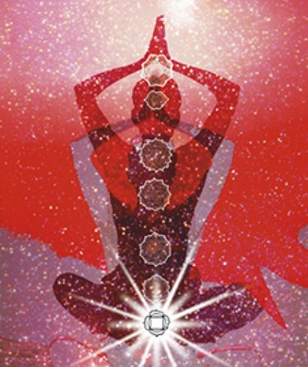 photo activite Carine Harmonisation