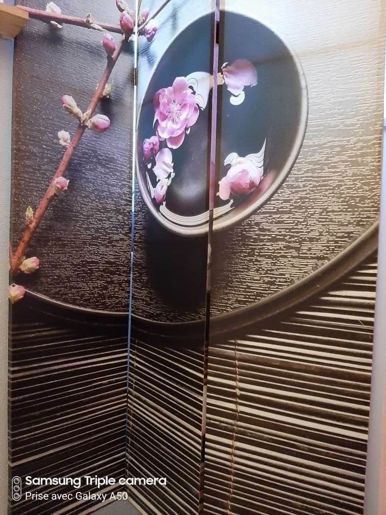 photo cabinet Carine Harmonisation