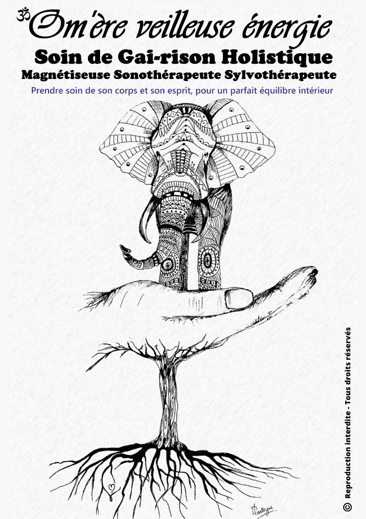 photo diplome Om’ère veilleuse énergie