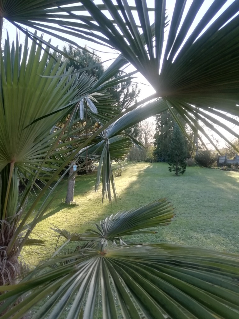 photo cabinet Valérie SCHMIT-FLINOIS