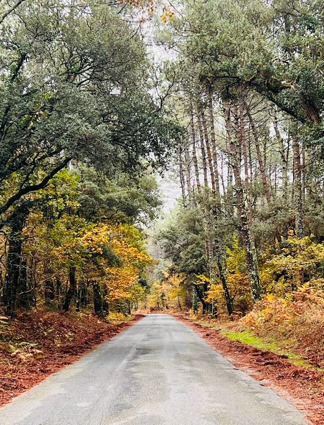 photo seance Lux Amandine 