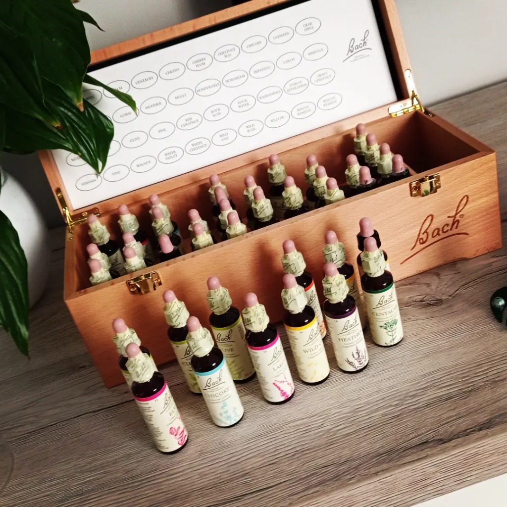 photo activite Harmony BABY