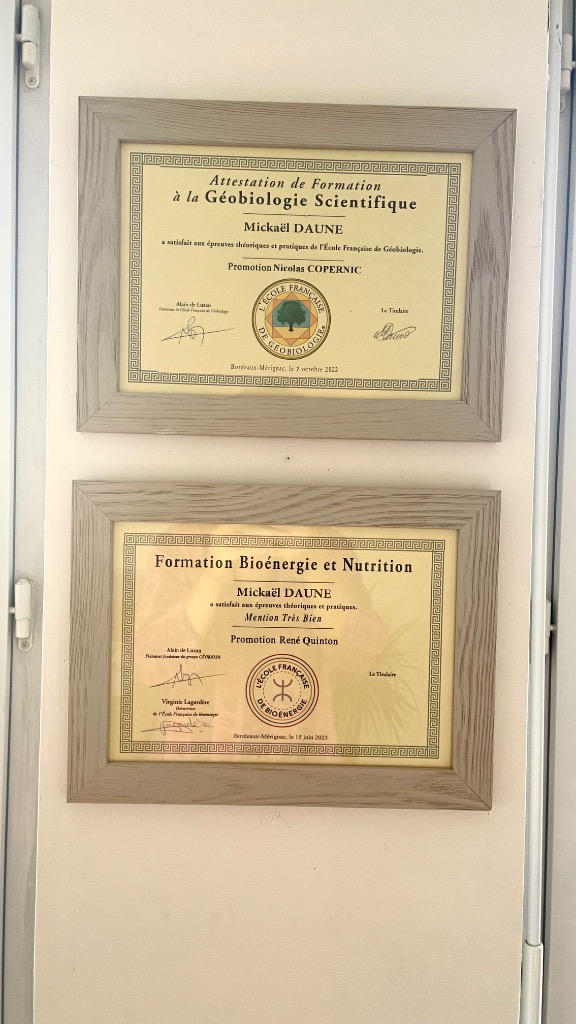 photo diplome Mickaël Daune